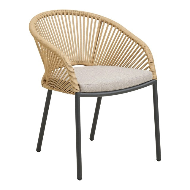 Novella Outdoor Dining Chair