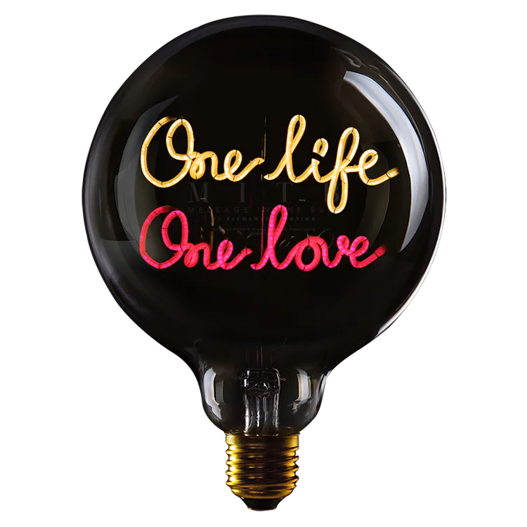 One life one love - Message in the bulb