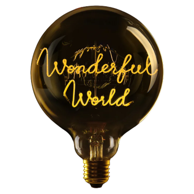 Wonderful World - Message in the bulb