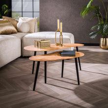 Couchtisch set/2 Nierenform organisch