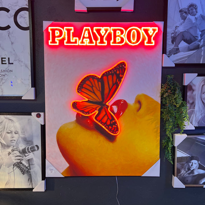 Playboy - Schmetterlingshülle