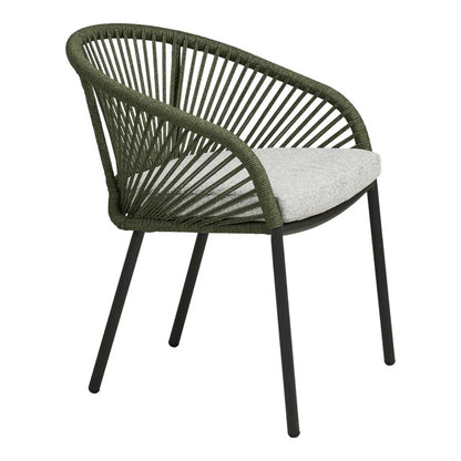 Novella Dining Chair