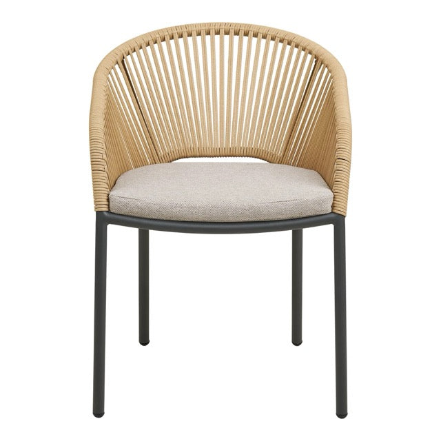 Novella Dining Chair
