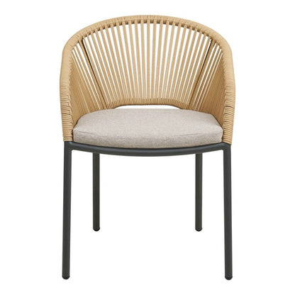 Novella Dining Chair