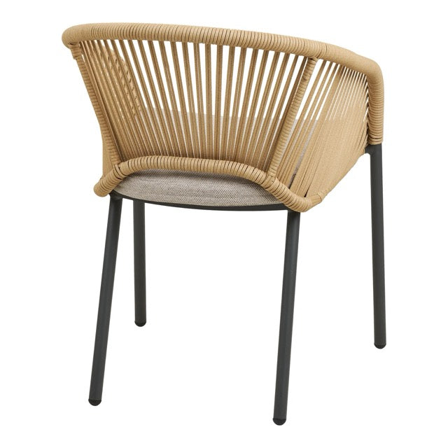 Novella Dining Chair