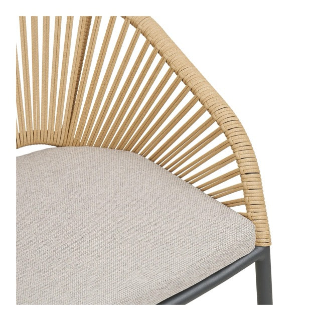 Novella Dining Chair