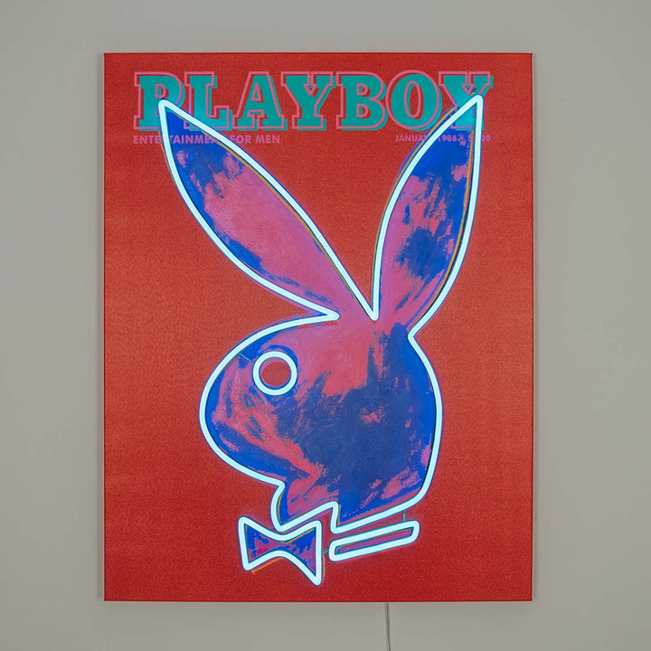 Playboy - Andy Warhol Cover