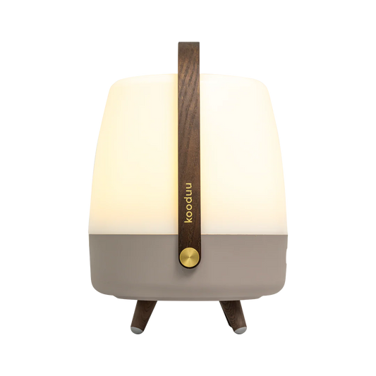 Lite-up PLAY · Erde