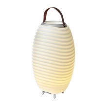 Synergy 65